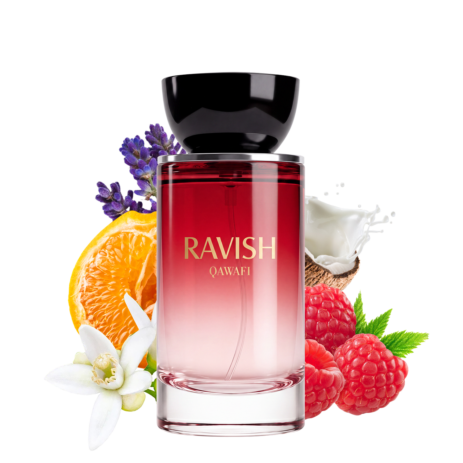 Ravish
