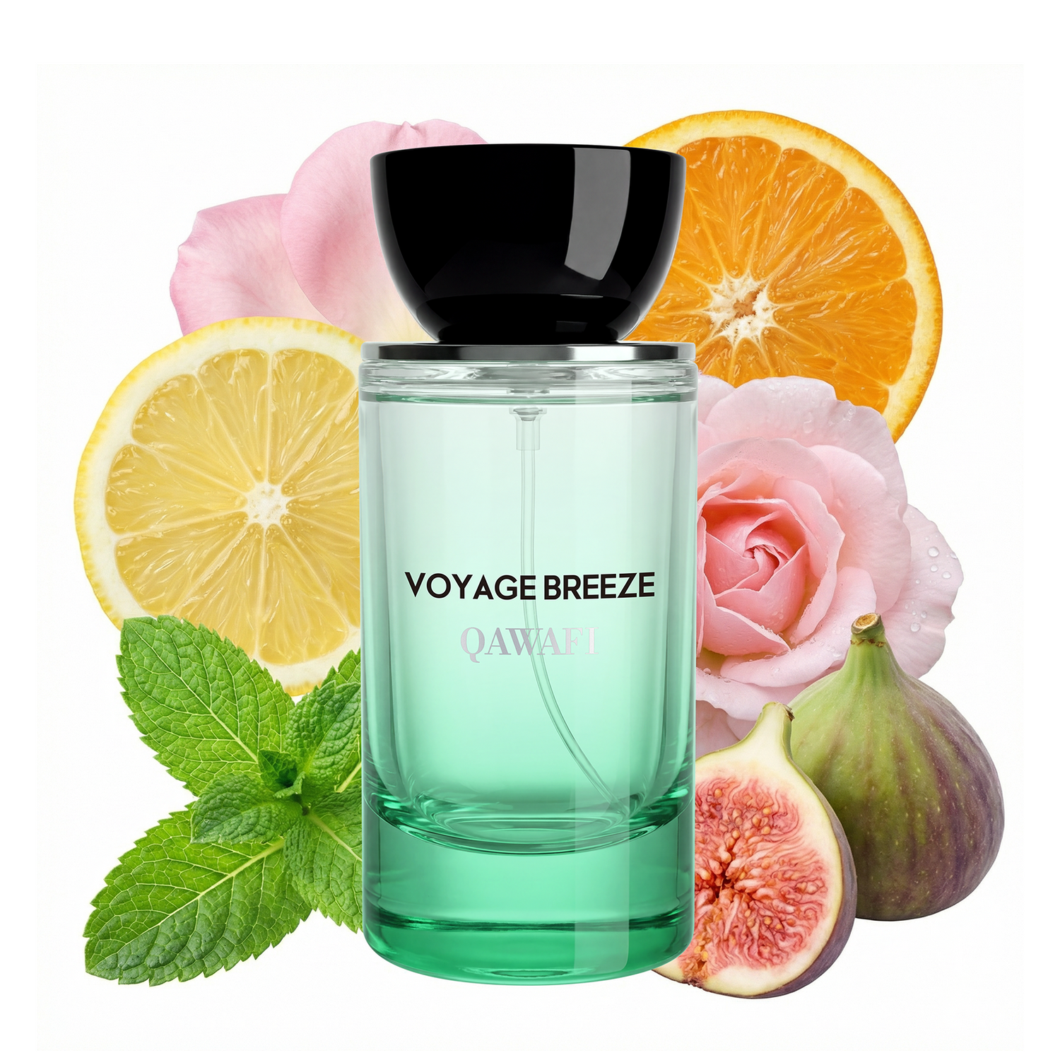 Voyage Breeze